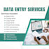 do beginner friendly data entry typing and presentation work