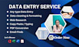 do accurate and fast data entry, copy paste, excel work