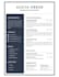 rewrite and optimize your resume and linkedin profile