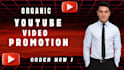 do organic youtube video promotion for channel growth