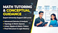 provide expert tutoring and conceptual guidance in advanced mathematics
