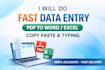 do fast and accurate data entry, typing, copy paste and PDF to word and exel