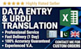 professional data entry and english to urdu translation