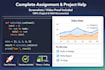 python django assignment expert coding tasks