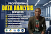 do professional data analysis and visualization using excel, r, or python