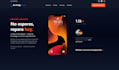 build a professional, fast website