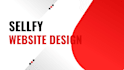 sellfy website design and redesign