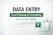 do accurate data entry, and excel cleanup