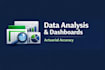 organise and analyse your data and provide insights
