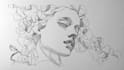 do lineart illustrations in high quality