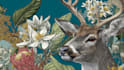 draw an animal and botanical illustration