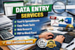do accurate data entry, copy paste, excel, typing, and web research