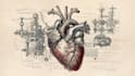 create anatomy, medical, and scientific illustrations