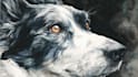 paint stunning pet portrait