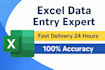 do excel data entry, data cleaning, formatting and reports