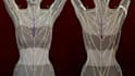 don3d vrchat rigging rig vrm vtuber vroid rig auto pro rig mayarig blender rig