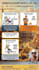 create professional risk assessment and hse safety reports