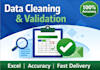 clean, validate and analyze your excel data professionally