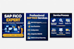 provide sap fico support, configuration and implementation services