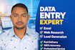 be your expert for fast data entry and web research