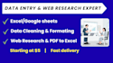 do fast and accurate data entry, excel cleaning, web research and copy paste