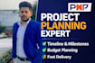 create a professional project plan