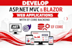 develop asp net mvc and blazor web applications with ef core backend