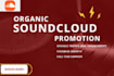 offer soundcloud promotion real soundcloud growth