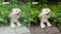 do editing photo in lightroom