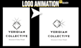 create modern animated logo intro and animation