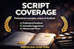 provide professional script feedback and screenplay analysis