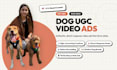 create authentic ugc pet content with real dogs