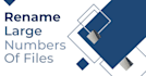 bulk rename files professionally with high accuracy in 24 hours