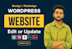 edit wordpress website, update wordpress website, wordpress changes or customize