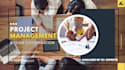 be your expert project manager in asana, trello,  jira