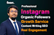 do instagram promotion for super fast organic growth