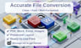 do accurate formatting and file conversion services