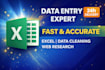 do accurate data entry, excel work and data cleaning