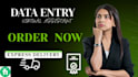 be your virtual assistant for data entry, typing, copy paste and web research