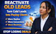 reactivate old leads, optimize sales script and build follow up system