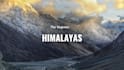 design eye catching you tube video thumbnails