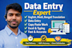 handle data entry with precision and on time delivery