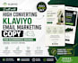 write high converting klaviyo email marketing copy for ecommerce