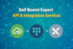 build dell boomi integrations, apis and fix issues