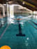 improve your swimming technique with personalized coaching