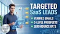 provide targeted b2b lead generation for saas and tech startups