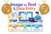 do professional data entry and image to text conversion