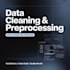 clean and preprocess your dataset using python and pandas