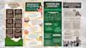 do creative infographics and posters