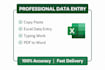 do professional data entry copy paste and typing work